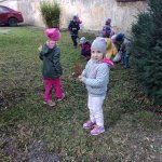 phoca_thumb_m_zmeck krteci 5 Fotogalerie